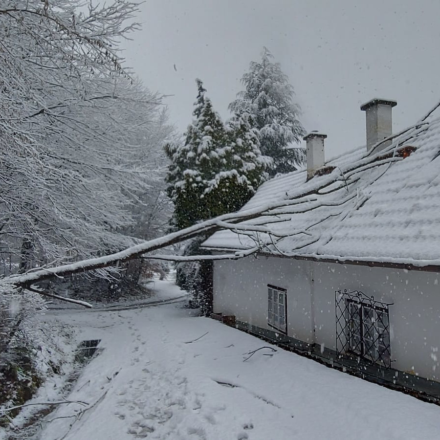 T1 – Sturmschaden in Außerschildgraben