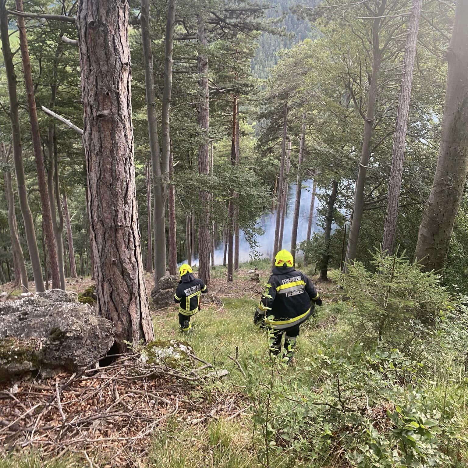 B2 – Waldbrand durch Blitzschlag am Gsollberg